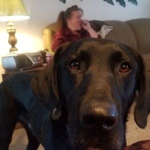 Meet your Posher, Jake